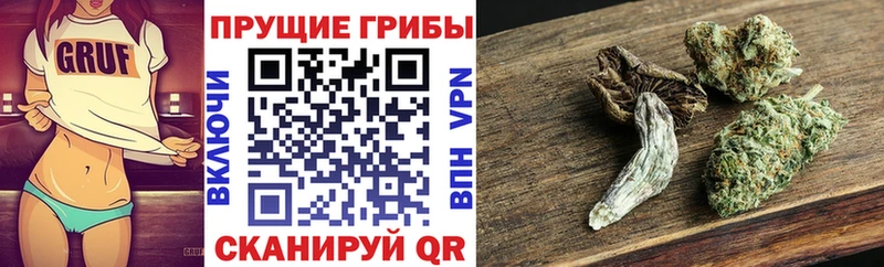 Псилоцибиновые грибы мухоморы  Купить где  Темников 